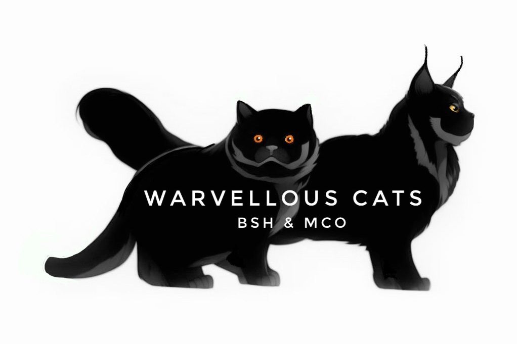 Warvellous Cats